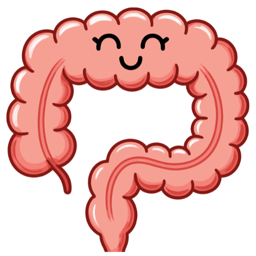 "Red Rice Millet Pasta – Light, Easy to Digest, and Wholesome"