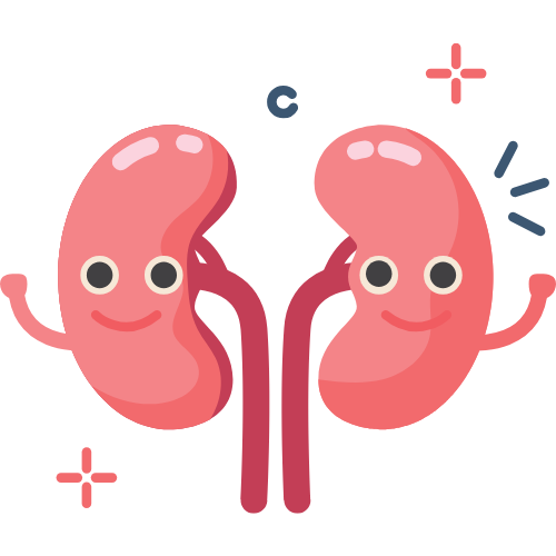 Barnyard millet pasta rich in nutrients – supports good liver and kidney health