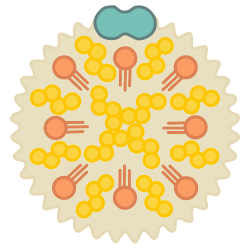 Enjoy heart-healthy little millet noodles, rich in PUFA.