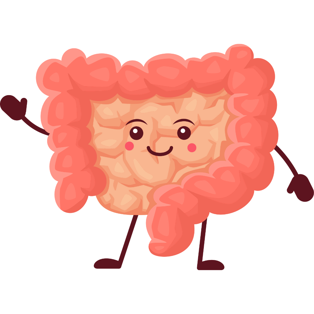 “Supports healthy digestion and overall gut wellness.”