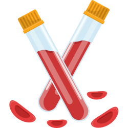 Boost your iron intake with our delicious samba wheat millet noodles