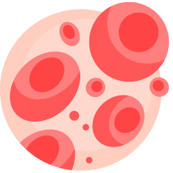 Boost your iron intake with our delicious fingermillet vermicelli.