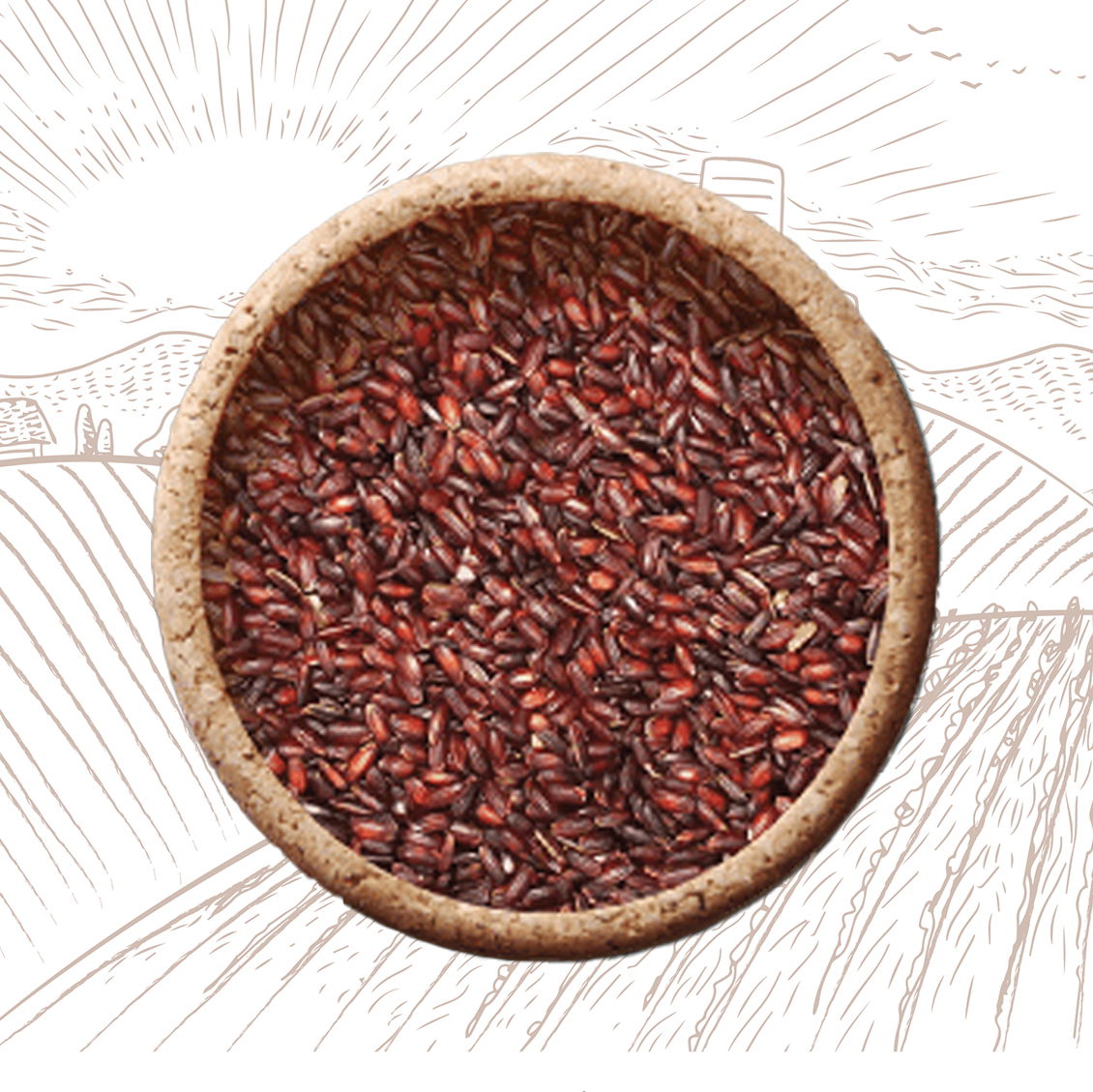 Buy -Karunkuruvai Rice Online