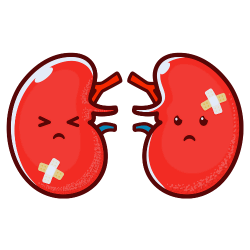 Nutrient-rich moringa millet noodles for preventing kidney problems.