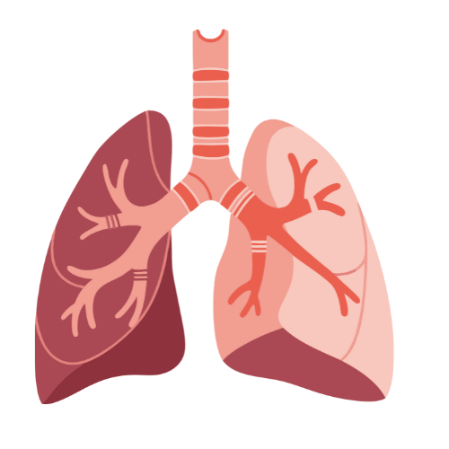 “Little Millet Pasta – Consciously crafted, nutritious pasta made from little millet, low glycemic for steady blood sugar and sustained energy.”