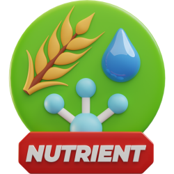 NutrientRichPonniBoiledRice