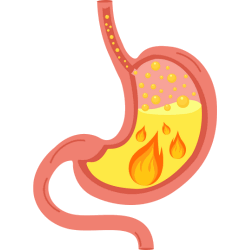 Little millet vermicelli, a rich source of polyunsaturated fatty acids and other essential nutrients.
