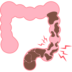 Barnyard Sweet Pops - Delicious treats for constipation relief.