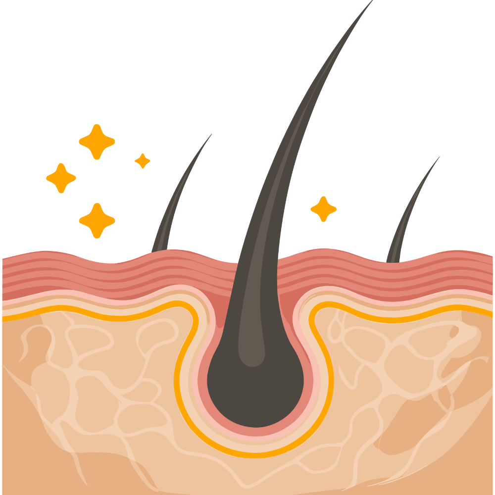 “Natural ingredient that supports healthy hair growth and strengthens hair.”