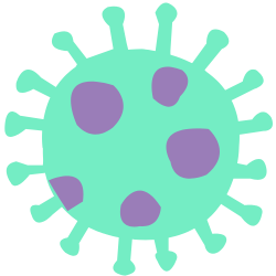 Healthy snack option: wheat and almond cookies for cell protection.