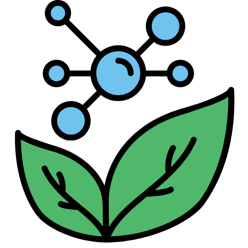 Proso Millet Pasta – Packed with Antioxidants for Wellness"