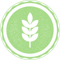 Wheat butter cookies, rich in fiber and whole grains.