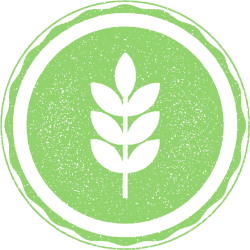 Fiber-packed samba wheat millet noodles.