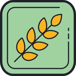 Nutritious wheat cookies, a healthy snack.