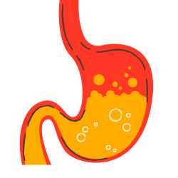 inger millet noodles in a bowl, with some text overlay that says "Slow Digestion"