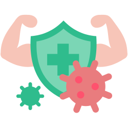 Healthy wheat cookies to boost your immune system.