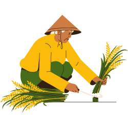 SupportLocalFarmers_ThooyamalliRice