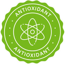 Kodomillet vermicelli, a nutritious food packed with antioxidants.