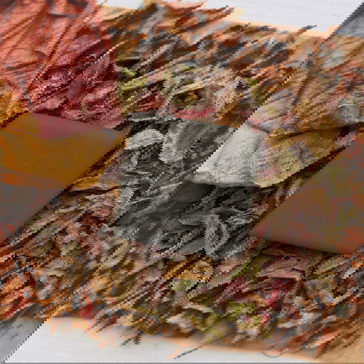 Buy -Organic Pure- Neem Soap