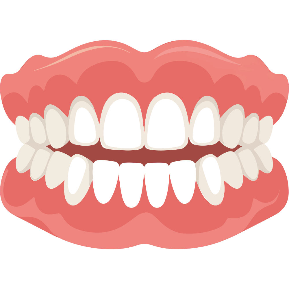 Channa Dal or Kadalai Paruppu supports strong teeth and oral health with essential minerals – buy high-quality Channa Dal online at standardstore.in