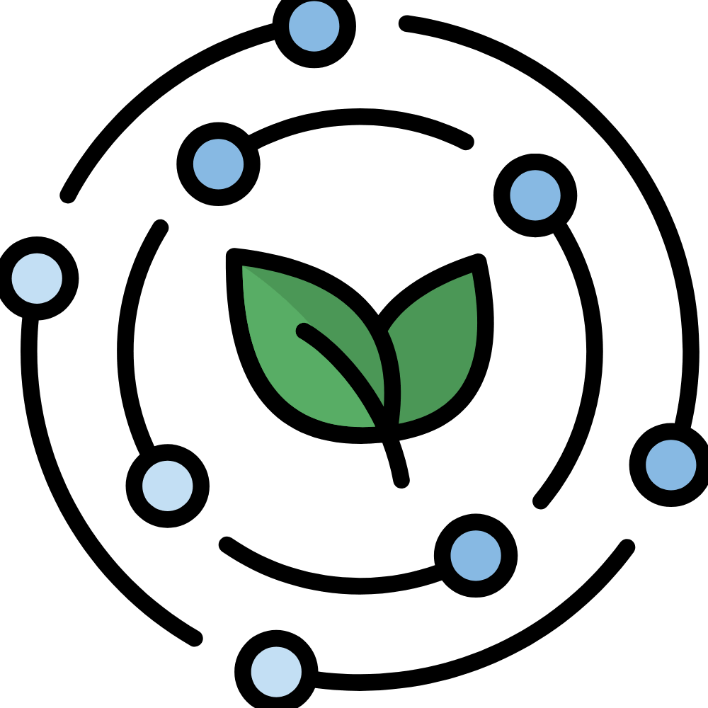 Kumbakonam Degree Coffee Powder – rich in antioxidants that help protect the body from oxidative stress