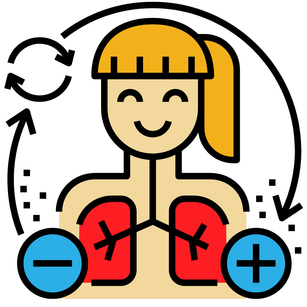 Homewood Cardamom Tea – aromatic tea blend that helps detoxify the body and support overall wellness