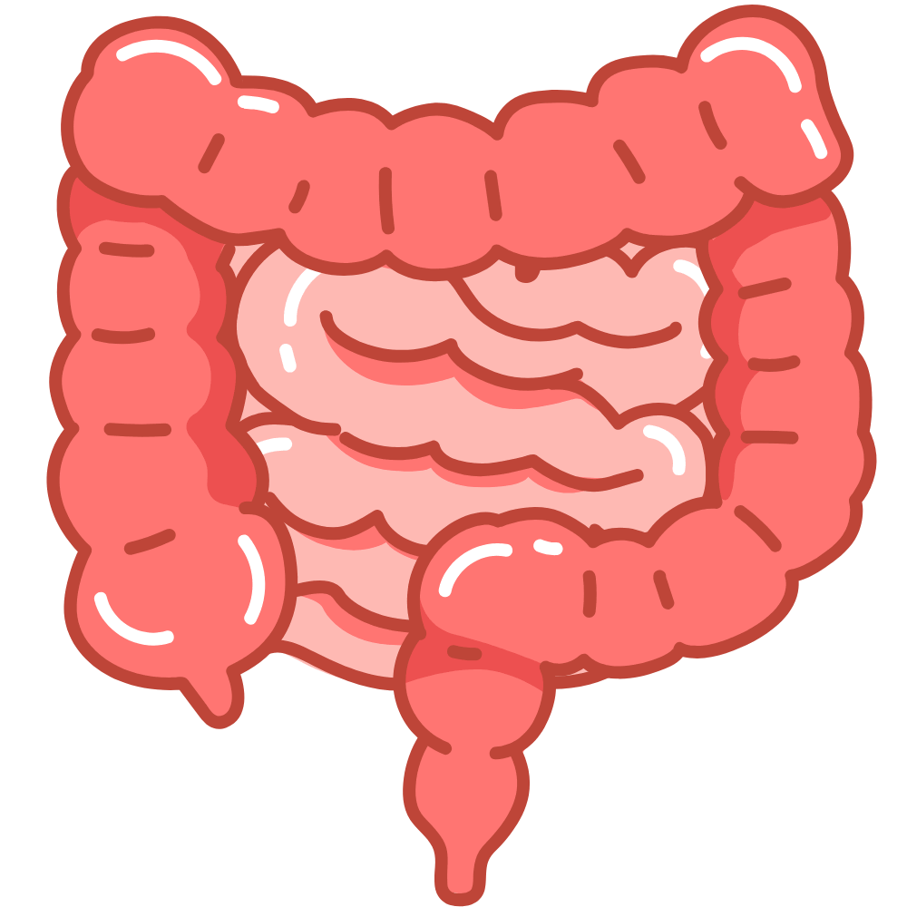 Foxtail millet served in a bowl — a high-fiber grain that aids digestion and promotes gut health.