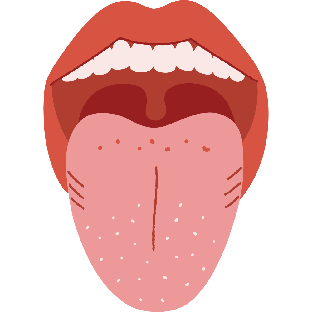 Homewood Cardamom Tea – aromatic tea blend that helps maintain oral pH balance and supports oral health