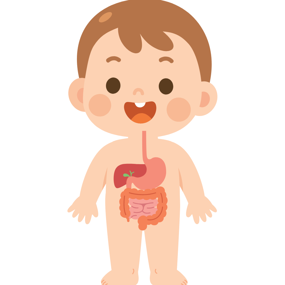 Homewood Masala Tea – flavorful tea blend that supports digestion and promotes a healthy gut