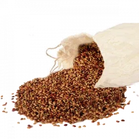 Kollu Water 1 Kollu High Protein