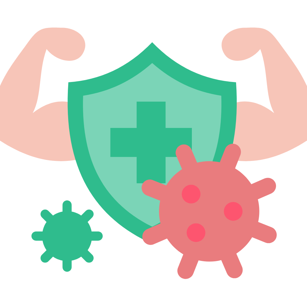 Kondakadalai or Black Channa supports immunity and helps strengthen the body’s natural defenses – buy premium quality Kondakadalai online at standardstore.in