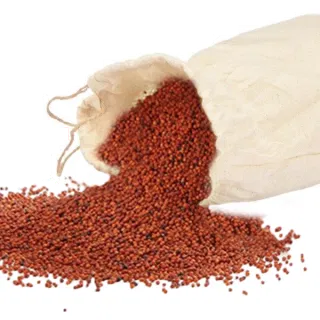 Ragi