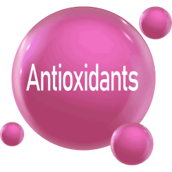 Foxtail millet flakes, a rich source of antioxidants.