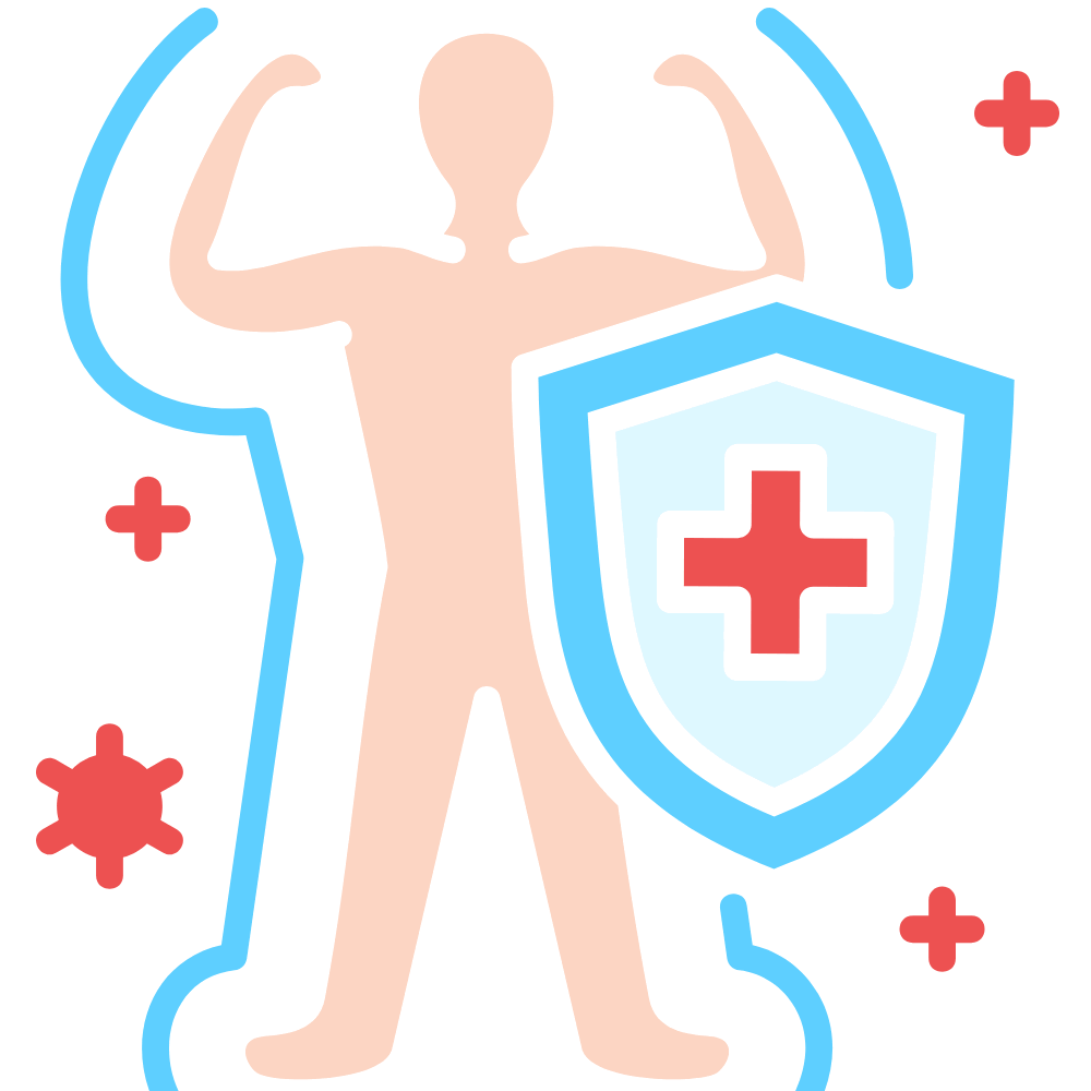 Toor Dal or Thuvaram Paruppu supports immunity and helps the body fight infections naturally – shop fresh Toor Dal online at standardstore.in