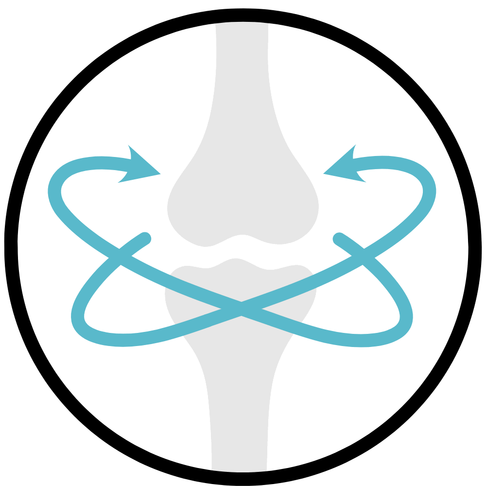 Urad Dal helps build strong muscles and supports body strength – buy high-protein Urad Dal online at standardstore.in