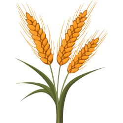 Benefits-Focused: "Nutrient-rich, plant-based Amirtham powder for a balanced diet"