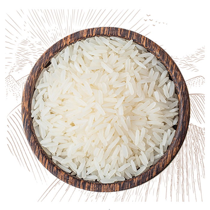Best-Seeraga Samba Rice- Standardbrands