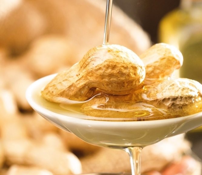 Cold Pressed Oil In Kurnool Cold Pressed Oil In Kurnool