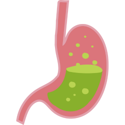 Nourishing beetroot malt drink to support gut health.