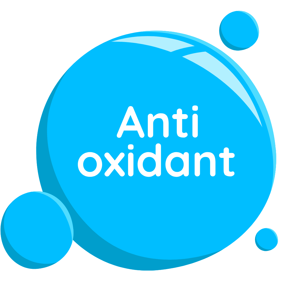 Moringa contains powerful antioxidants (like quercetin and chlorogenic acid) that help fight oxidative stress and support overall health.