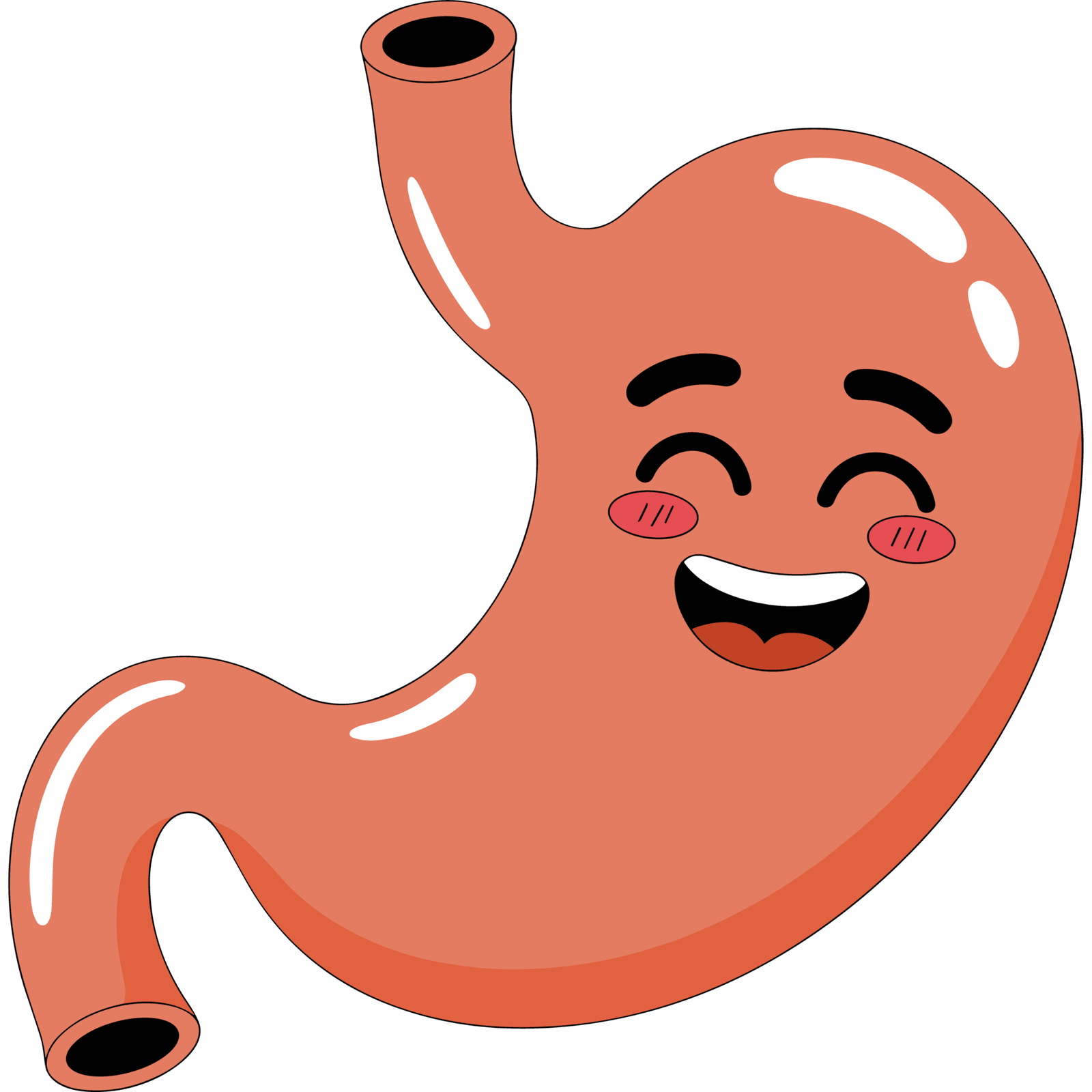 Natural product that supports digestion and promotes a healthy gut.