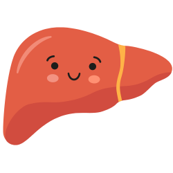 5 Greens Biscuit, a healthy snack for liver support.