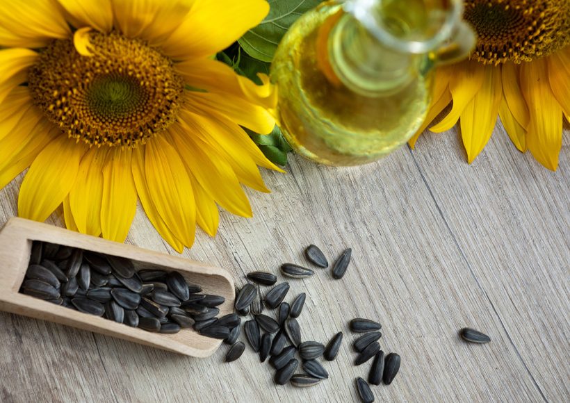 Cold Pressed Oil In Udupi Cold Pressed Oil In Udupi