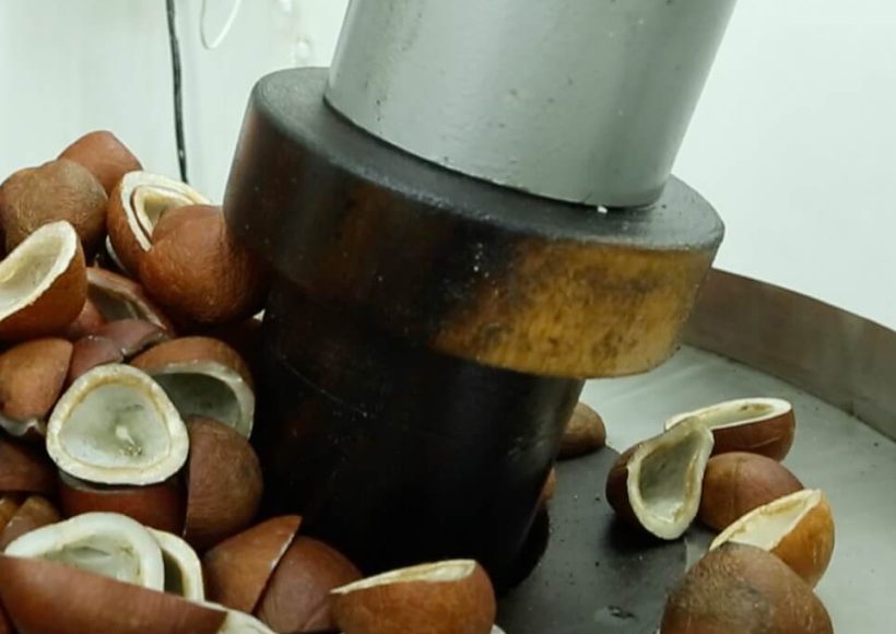 Cold Pressed Oil In Coimbatore Cold Pressed Oil In Coimbatore