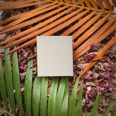 buy goat milk soap online