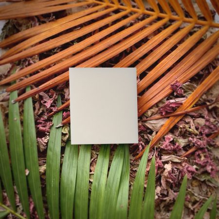 buy goat milk soap online