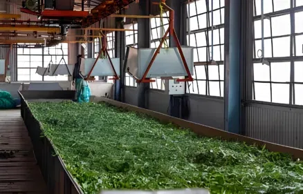  Welcome To Home Wood Tea Factory – Experience The Finest Tea Blends Crafted For A Refreshing And Elevated Tea Experience