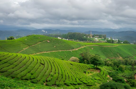 Doddabetta Tea Factory