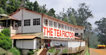 Best Ooty Tea Online 8 Https://Standardcoldpressedoil.com/Wp-Content/Uploads/2024/01/Ooty-Tea-Estate-Tea-Factory.png