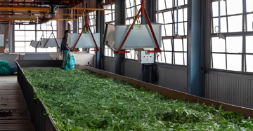 Best Ooty Tea Online 5 Ooty-Tea-Factory-Leaves-Processing